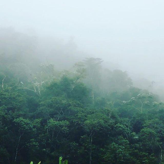Sitio Recanto Da Preguica Santa Teresa  Zewnętrze zdjęcie