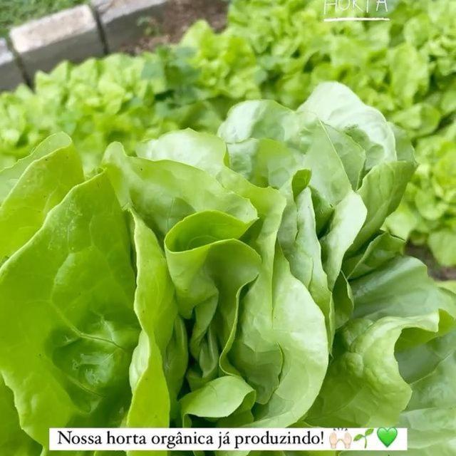 Sitio Recanto Da Preguica Santa Teresa  Zewnętrze zdjęcie